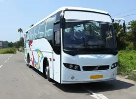 20 Seater Traveller